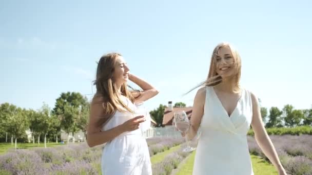 Hermosas chicas sosteniendo una copa de vino blanco en vestidos blancos y pelo largo caminando en un campo de lavanda. Morena y rubia apariencia caucásica. Lavanda — Vídeo de stock