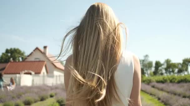 Marco de retrato de una rubia caminando en un vestido blanco en un campo de lavanda — Vídeos de Stock