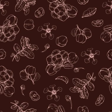 Dal acerola kirazlı, meyveli, çiçekli kusursuz desenli. Detaylı el çizimleri, vektör botanik çizimler.