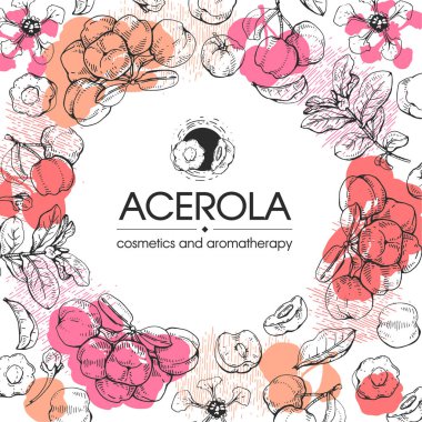 Dallı acerola, kiraz, meyve ve çiçekli çerçeve. Detaylı el çizimleri, vektör botanik çizimler.  