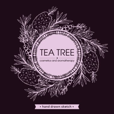 Dalları, yaprakları ve çay ağacı çiçekleri olan bir çerçeve. Detaylı el çizimleri, vektör botanik çizimler. 