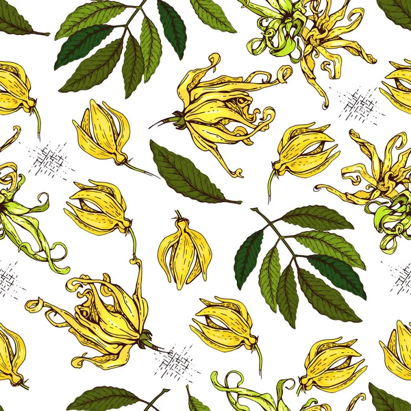 Naadloos Patroon Met Bloemen Bladeren Van Ylang Ylang Gedetailleerde Handgetekende — Stockvector