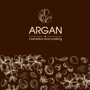 Üzerinde meyve, fındık, argan ağacı, armut, yaprak ve aksesuar olan kompozisyon elle çizilmiş çizimler, vektör botanik illüstrasyon. Menü, etiket, paketleme tasarımı için.
