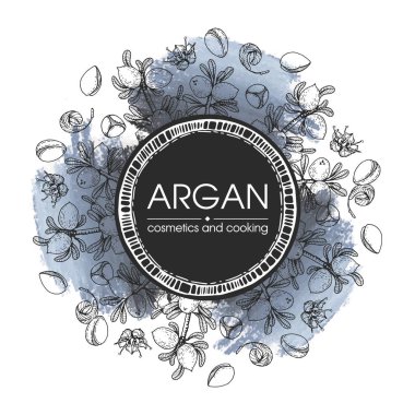 Üzerinde meyve, fındık, argan ağacı, arpa, yaprak, çiçek argümanı olan çerçeve elle çizilmiş çizimler, vektör botanik çizimler. Menü, etiket, paketleme tasarımı için.