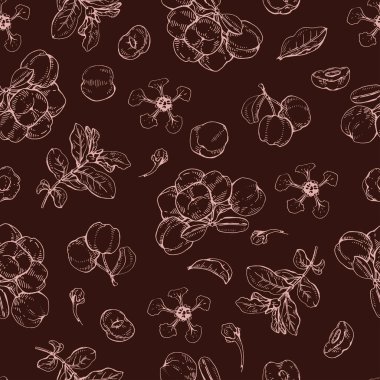 Dal acerola kirazlı, meyveli, çiçekli kusursuz desenli. Detaylı el çizimleri, vektör botanik çizimler.