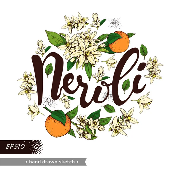 Cercle Rempli Fleurs Orange Amère Bourgeons Fruits Avec Des Neroli — Image vectorielle