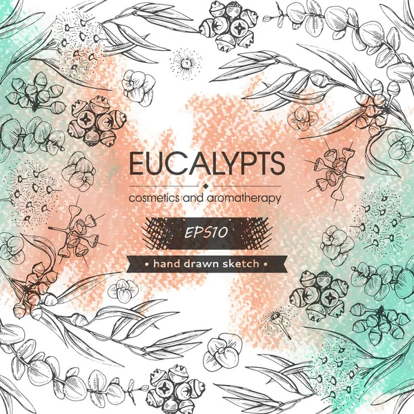 Hintergrund Gefüllt Mit Eukalyptusblättern Jungen Trieben Und Eukalyptuszweigen Mit Blüten — Stockvektor