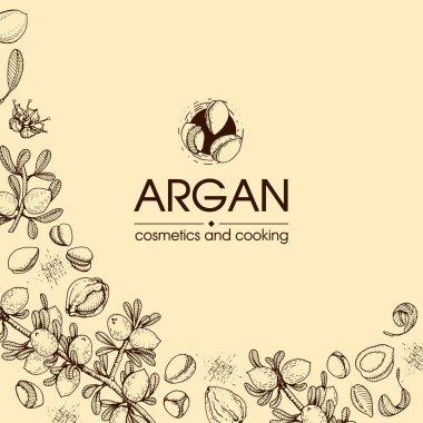 Argan ağacının meyve, fındık argümanları, yapraklar ve aksesuarlarla kompozisyonu elle çizilmiş çizimler, vektör botanik illüstrasyonu.