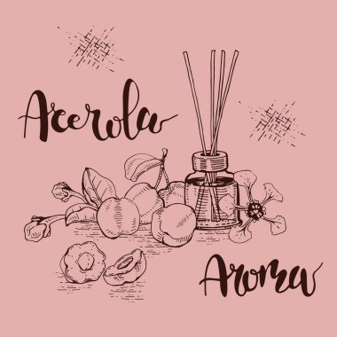 Dal acerola kirazı, meyve, çiçek ve yağlı cam şişe ve aksesuarlarla dolu bir hayat. Detaylı el çizimleri ve harfler, vektör botanik illüstrasyon.