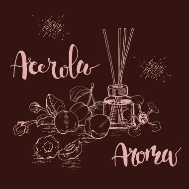 Dal acerola kirazı, meyve, çiçek ve yağlı cam şişe ve aksesuarlarla dolu bir hayat. Detaylı el çizimleri ve harfler, vektör botanik illüstrasyon.