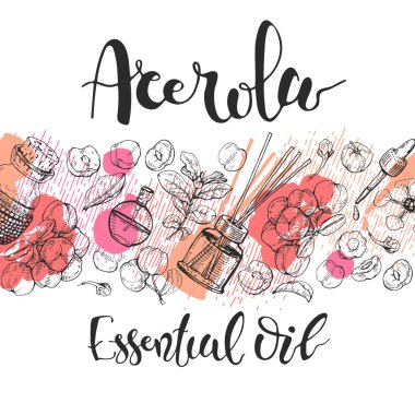 Arka planda acerola kirazı, meyve, çiçek ve yağ ve aksesuarlı cam şişe var. Detaylı el çizimleri ve harfler, vektör botanik illüstrasyon.