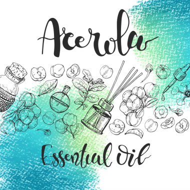 Arka planda acerola kirazı, meyve, çiçek ve yağ ve aksesuarlı cam şişe var. Detaylı el çizimleri ve harfler, vektör botanik illüstrasyon.