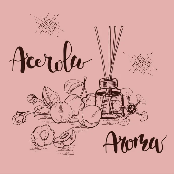 Dal acerola kirazı, meyve, çiçek ve yağlı cam şişe ve aksesuarlarla dolu bir hayat. Detaylı el çizimleri ve harfler, vektör botanik illüstrasyon.