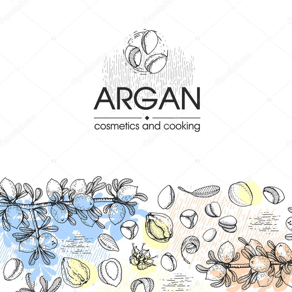 Composition with branch argan tree with fruits, nuts argans, leaves and accessories Detailed hand-drawn sketches, vector botanical illustration.