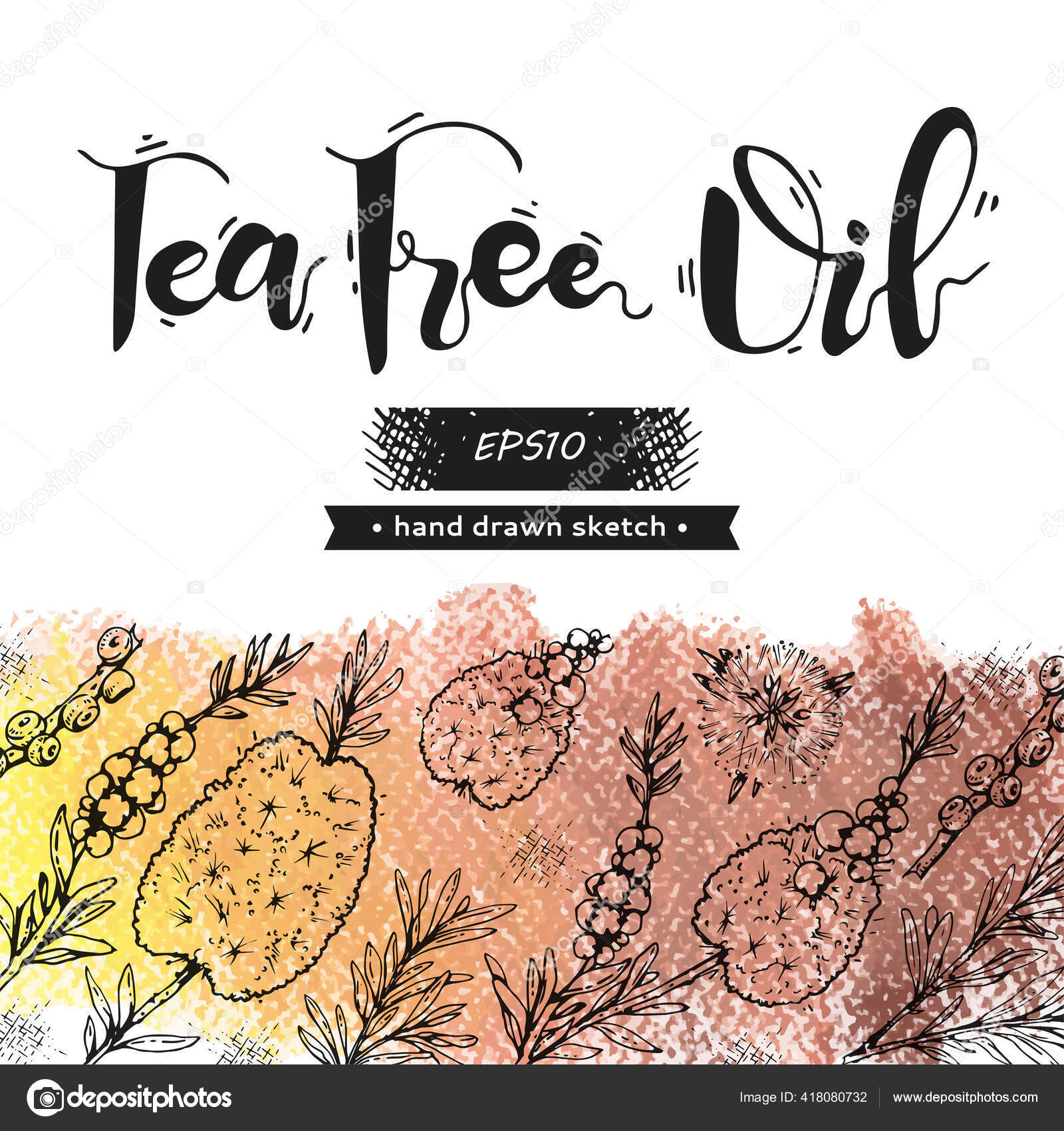 Background Branches Leaves Flowers Tea Tree Lettering Detailed Hand Drawn Vector Image By C Kaminslynx Vector Stock Background Branches Leaves Flowers Tea Tree Lettering Detailed Hand Drawn Vector Image By C Kaminslynx Vector Stock