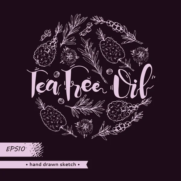 Circle filled branches with leaves and flowers of tea tree . Detailed hand-drawn sketches, vector botanical illustration. — Stock Illustration Circle Filled Branches Leaves Flowers Tea Tree Detailed Hand Drawn Vector Graphics