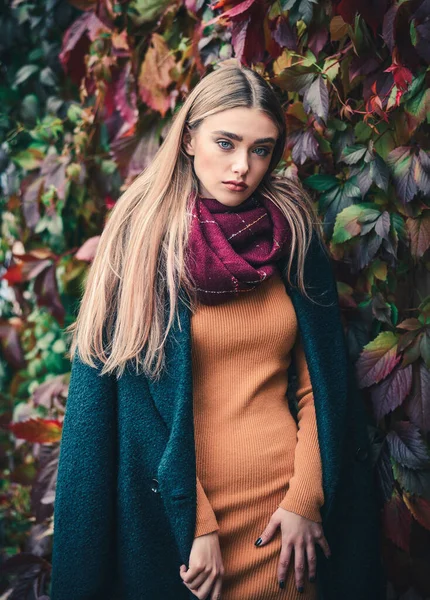 美丽而优雅的年轻女子 穿着秋天的衣服 背景是树叶 — 图库照片