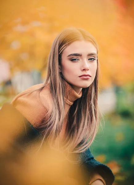 Портрет Красивой Молодой Женщины Распущенными Волосами Вязаном Осеннем Свитере — стоковое фото