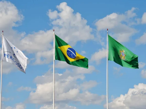 Brasiliens Mercosuls Och Brasiliens Flagga — Stockfoto