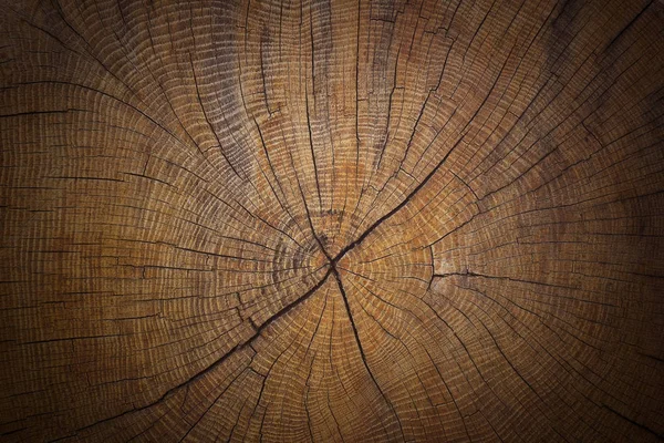 Staré Omšelé Prasklý Kmen Kříž Texturu Dřeva Pozadí Sekce — Stock fotografie