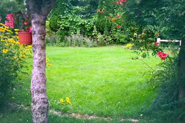 美しい裏庭の庭の風景 中央の緑の芝生の背景 前の木の幹と花 — ストック写真