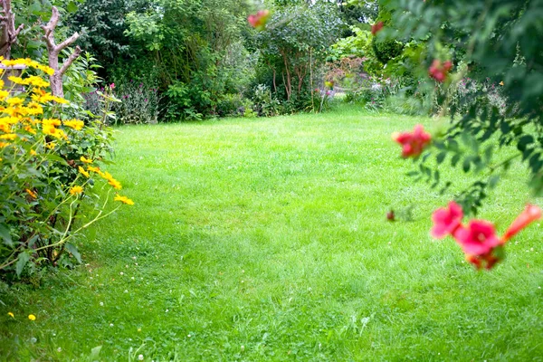 美丽的后院花园景观 中心的绿色草坪背景 — 图库照片