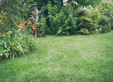 Ağaçlar ve çiçeklerle dolu güzel bir bahçe. Merkezde yeşil çimen arka planı. Kuşlar ağaç gövdesinde sallanıyor.. 
