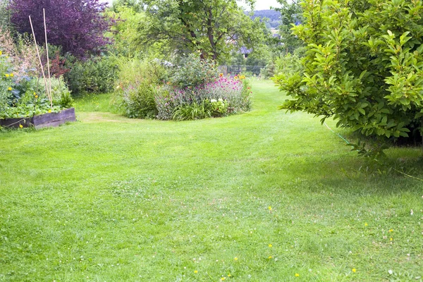 美丽的绿色后院草坪背景 — 图库照片