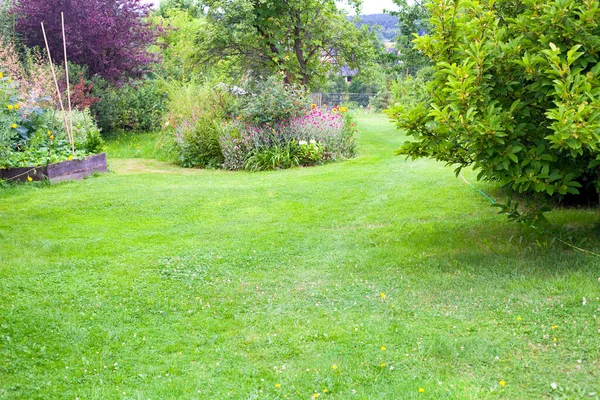 Güzel, yeşil arka bahçe arka planı.