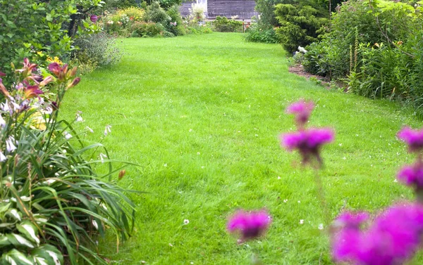 背景に美しく 緑の裏庭の芝生 新鮮な緑の芝生の前の花 — ストック写真