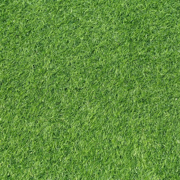 arka plan, suni çim dokusu