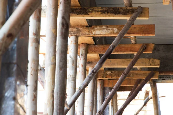 Kiriş ve döşeme altında canlandırıcı okaliptüs.