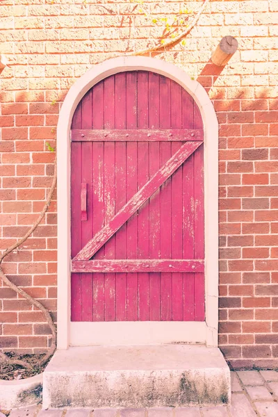 architecture background door pink color on brick wall