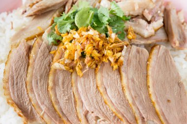 Tayland tarzı pilav kızarmış ördek ve çorba ormanlık artalan üzerinde