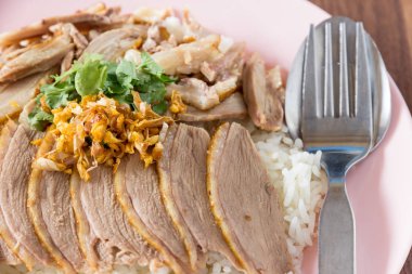 Tayland tarzı pilav kızarmış ördek ve çorba ormanlık artalan üzerinde