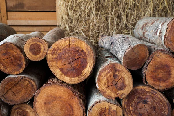 timber is arranged in a neatly organized order.