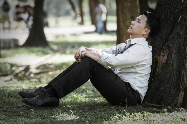 Asya Adamı Yetersiz Kalıyor Parkta Ağaç Altında Ciddi — Stok fotoğraf