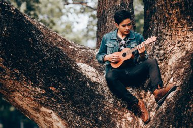 Portre Asya genç adam ağaçta oturmuş ukulele oynamak