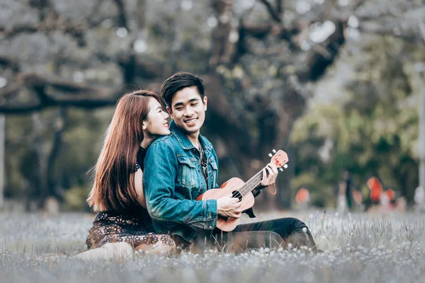 Asya çift çimen parkta oturan akustik gitar şarkıyı çalmaya aşık