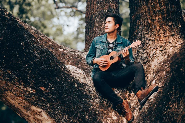 Portre Asya genç adam ağaçta oturmuş ukulele oynamak