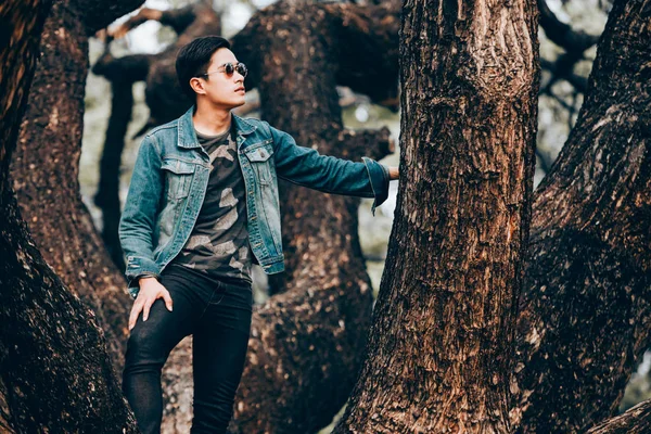 Ağaçta duran güneş gözlüğü ve kot gömlek giymiş portre Asya genç erkekler