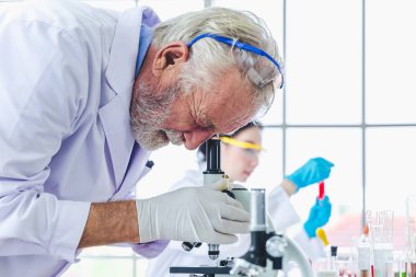 Laboratuvarda mikroskop kimyasalları ile çalışan bilim adamları