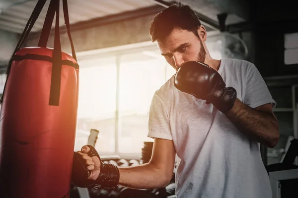 Portret Sportowy Mężczyźni Powrotem Boks Rękawice Szkolenia Siłowni — Zdjęcie stockowe