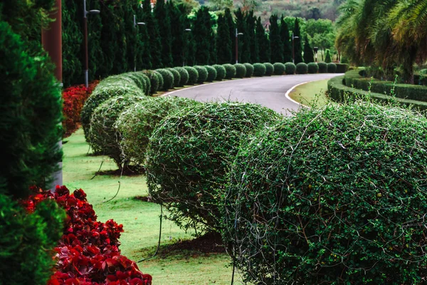 Hermoso Aparcamiento Paisajístico Ciudad Valle Toscana Estilo Italiano Khaoyai Nakhon — Foto de Stock