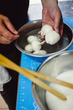 Ev yapımı peynir üreticisi taze sütle el yapımı mozzarella üretir. Kavram: Gelenek, İtalya, mozzarella. Mozzarella yapma süreci..