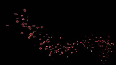 Kırmızı gül yaprakları eğri akış yolunda süzülüyor koyu arkaplanda kırpma yolu ile, 3 boyutlu illüstrasyon.