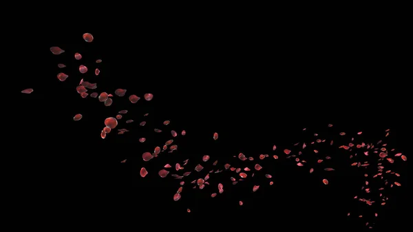 Red Rose Petals Floating Curve Flow Path Dark Background Clipping — Stock Photo, Image