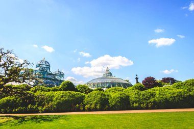 Çim alan ve yeşil çevre, Royal Palace Laeken Brüksel Kuzey park peyzaj.