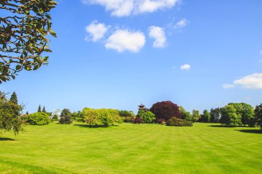 Çim alan ve yeşil çevre, Royal Palace Laeken Brüksel Kuzey park peyzaj.