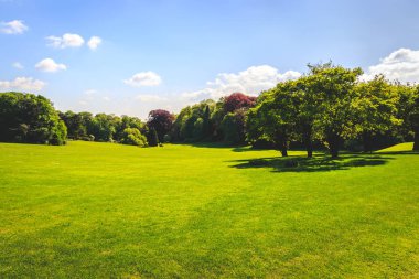 Çim alan ve yeşil çevre, Royal Palace Laeken Brüksel Kuzey park peyzaj.